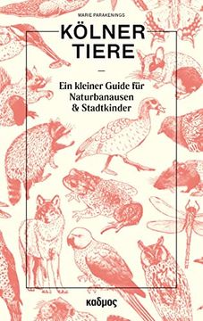 portada Kölner Tiere: Ein Kleiner Guide für Naturbanausen und Stadtkinder (en Alemán)