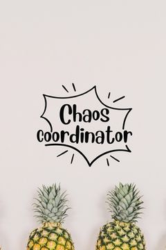 portada Chaos Coordinator (en Inglés)