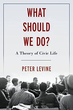 portada What Should we do: A Theory of Civic Life (in English)