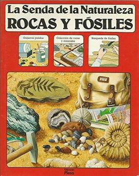 portada Rocas y Fosiles