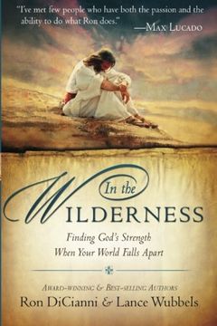 portada In the Wilderness: Finding God's Strength When Your World Falls Apart (en Inglés)