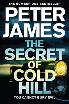 portada The Secret of Cold Hill (in English)