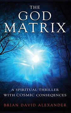 portada The god Matrix: A Spiritual Thriller With Cosmic Consequences (in English)