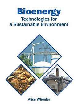 portada Bioenergy: Technologies for a Sustainable Environment (en Inglés)