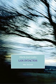 portada Los Intactos (in Spanish)