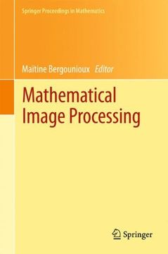 portada Mathematical Image Processing: University of Orléans, France, March 29th - April 1st, 2010 (Springer Proceedings in Mathematics)