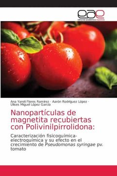 portada Nanoparticulas de Magnetita Recubiertas con Polivinilpirrolidona (in Spanish)