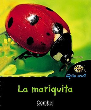 portada la mariquita / the little ladybug