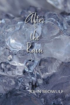 portada after the rain (en Inglés)