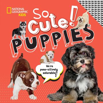portada So Cute! Puppies (so Cool (in English)