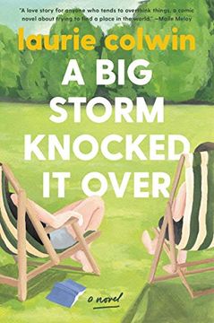 portada A big Storm Knocked it Over: A Novel (in English)