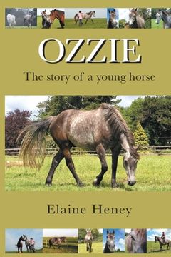 portada Ozzie - The story of a young horse