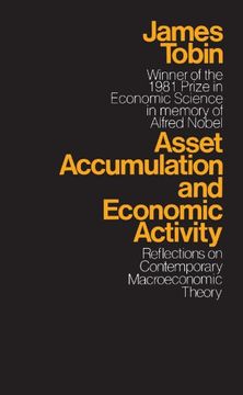 portada Asset Accumulation and Economic Activity: Reflections on Contemporary Macroeconomic Theory (en Inglés)
