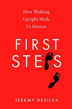 portada First Steps: How Walking Upright Made us Human (in English)