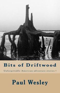 portada Bits of Driftwood (en Inglés)