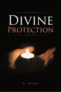 portada Divine Protection