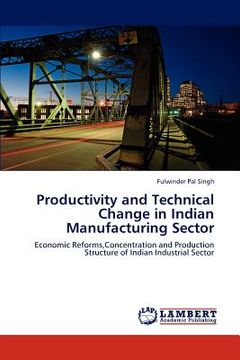 portada productivity and technical change in indian manufacturing sector (en Inglés)