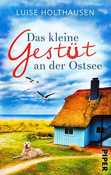 portada Das Kleine Gestüt an der Ostsee: Roman | Bewegende Liebesgeschichte mit Romantischem Küstensetting (in German)