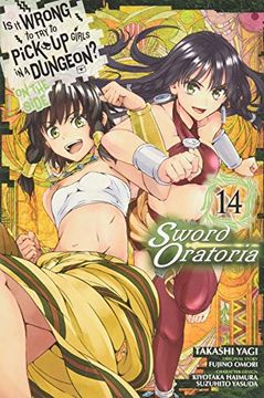 portada Is it Wrong to try to Pick up Girls in a Dungeon? On the Side: Sword Oratoria, Vol. 14 (en Inglés)