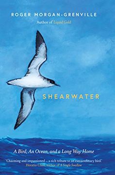 portada Shearwater: A Bird, an Ocean, and a Long way Home (in English)