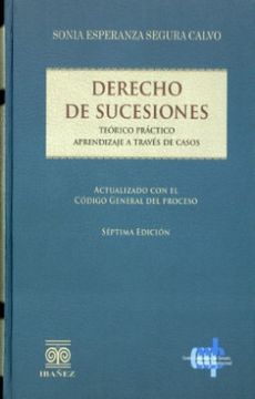 portada Derecho de Sucesiones Teorico Practico Aprendizaje a Travez de Casos (in Spanish)