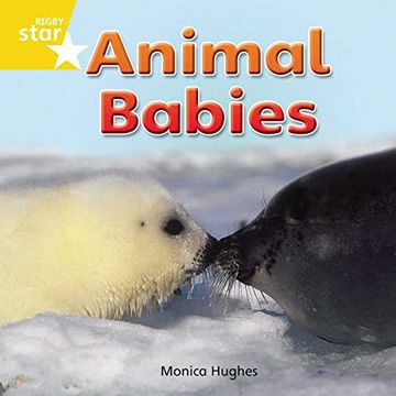 portada Rigby Star Independent Reception Yellow non Fiction Animal Babies Single