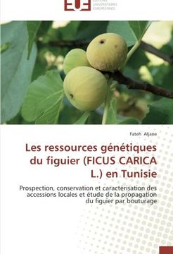 portada Les ressources génétiques du figuier (FICUS CARICA L.) en Tunisie: Prospection, conservation et caractérisation des accessions locales et étude de la propagation du figuier par bouturage