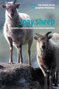 portada Soay Sheep: Dynamics and Selection in an Island Population (in English)