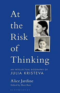 portada At the Risk of Thinking (Psychoanalytic Horizons) (en Inglés)