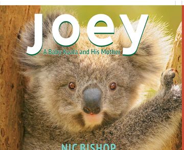 portada Joey: A Baby Koala and his Mother (en Inglés)
