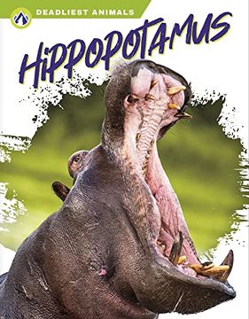 portada Hippopotamus (Deadliest Animals) (in English)