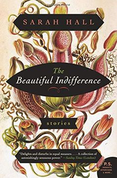 portada The Beautiful Indifference: Stories (P. St ) (in English)