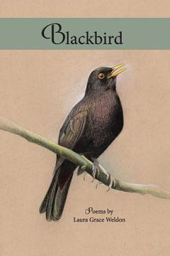 portada Blackbird: poems (en Inglés)