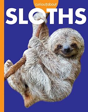 portada Curious about Sloths (in English)