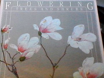 portada Flowering Trees and Shrubs: The Botanical Paintings of Esther Heins (in English)