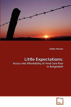 portada little expectations (en Inglés)