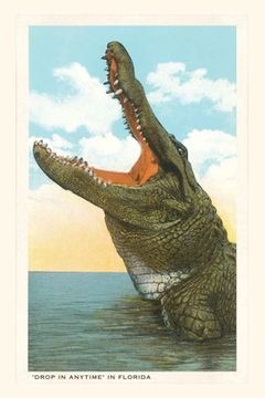 portada Vintage Journal Drop in Any Time, Alligator, Florida