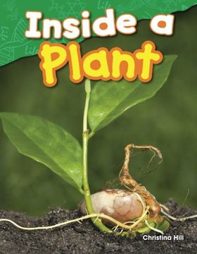 portada Inside a Plant (Science Readers: Content and Literacy) (en Inglés)
