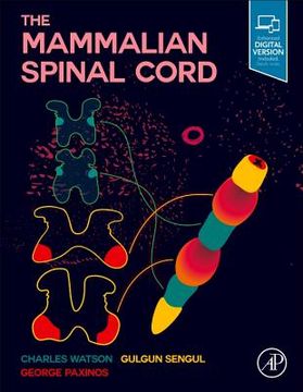 portada The Mammalian Spinal Cord (en Inglés)