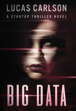 portada Big Data: A Startup Thriller Novel (2) (en Inglés)