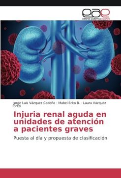 portada Injuria renal aguda en unidades de atención a pacientes graves: Puesta al día y propuesta de clasificación (Spanish Edition)