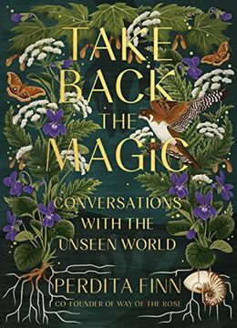 portada Take Back the Magic: Conversations With the Unseen World (in English)