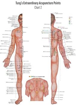 portada Akupunkturtafel Chart 2 Tung's Extraordinary Acupuncture Points on the Regular Channels (en Alemán)