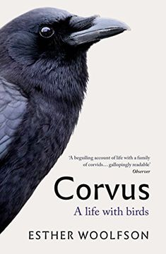 portada Corvus [Paperback] [Mar 01, 2018] Esther Woolfson (en Inglés)