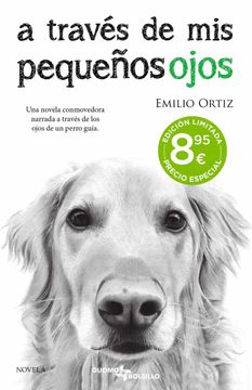 portada A Traves de mis Pequeños Ojos (in Spanish)