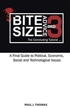 portada Bite Size Advice 3: The Concluding Tutorial. A Final Guide to Political, Economic, Social and Technological Issues (in English)