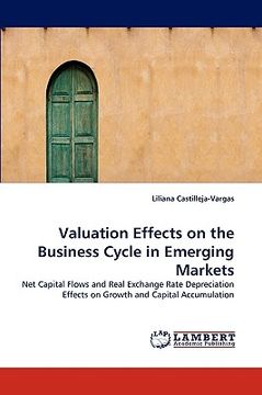 portada valuation effects on the business cycle in emerging markets (en Inglés)