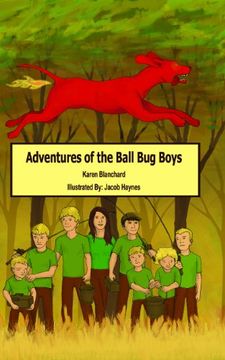 portada ADVENTURES OF THE BALL BUG BOYS