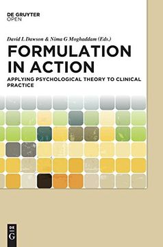 portada Formulation in Action: Applying Psychological Theory to Clinical Practice (in English)