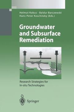 portada groundwater and subsurface remediation: research strategies for in-situ technologies
